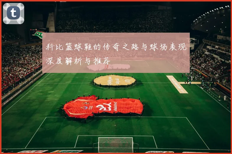 科比篮球鞋的传奇之路与球场表现深度解析与推荐