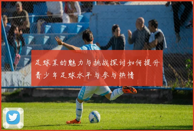 足球某的魅力与挑战探讨如何提升青少年足球水平与参与热情