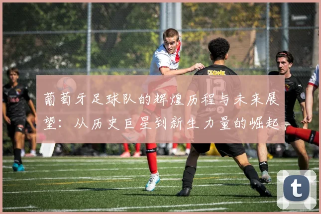 葡萄牙足球队的辉煌历程与未来展望：从历史巨星到新生力量的崛起