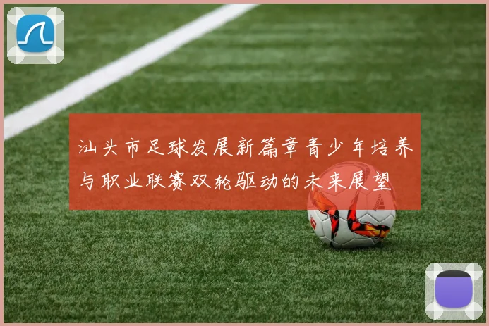 汕头市足球发展新篇章青少年培养与职业联赛双轮驱动的未来展望