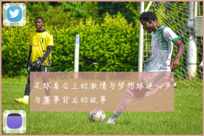 足球看台上的激情与梦想球迷心声与赛事背后的故事